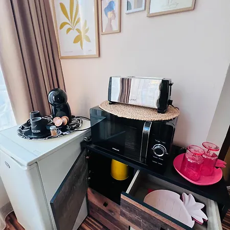 Apartment Desi House 302 A Large Cozi *